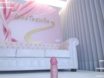 webcam girl wildtequilla live cam image #4541887