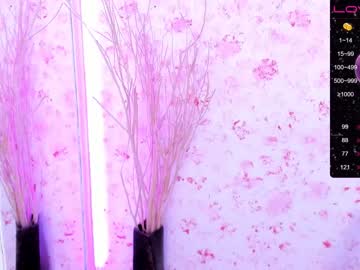 webcam girl soon_lee live cam image #1829547