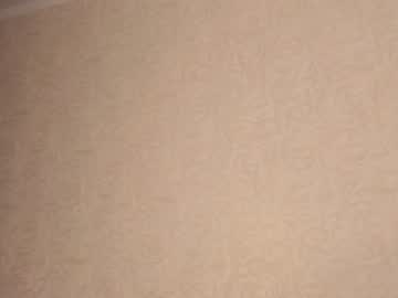 webcam girl conniesperry live cam image #6048445