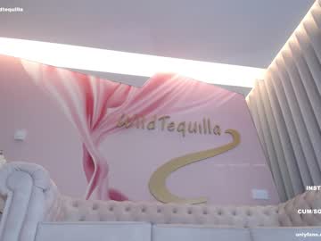webcam girl wildtequilla live cam image #5681399