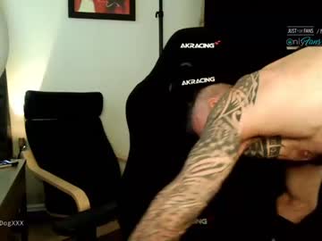 webcam man muscle_dog live cam image #2593