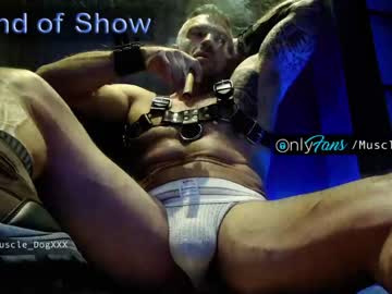 webcam man muscle_dog live cam image #46148