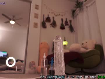 webcam girl evelynpiers live cam image #3534842