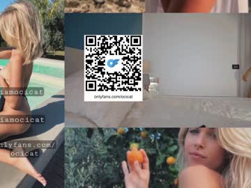 webcam girl ocicat live cam image #5560751