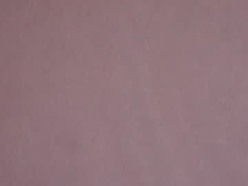webcam girl shycinderella live cam image #1836804