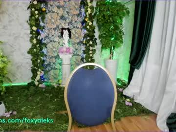 webcam girl foxy_aleks live cam image #1003968
