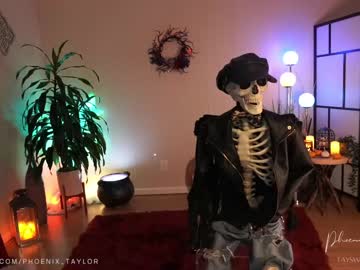 webcam girl phoenix_taylor live cam image #5510860