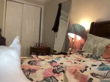 webcam girl avangelinefunn99 live cam image #2876147