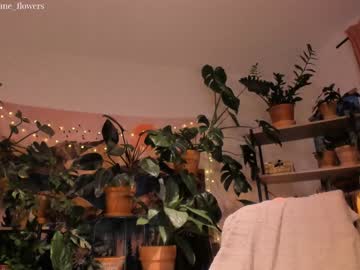 webcam girl jane_flowers live cam image #2637919