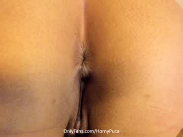 webcam couple hornypuca live cam image #5341956