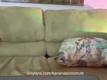 webcam girl bananascoconutz live cam image #4465254