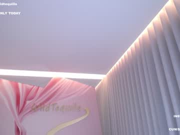 webcam girl wildtequilla live cam image #4291541