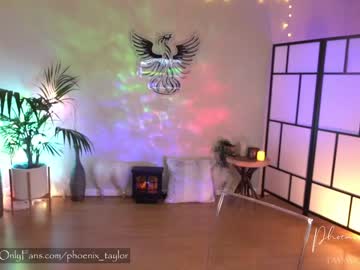webcam girl phoenix_taylor live cam image #6315044
