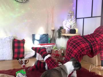 webcam girl phoenix_taylor live cam image #6031924