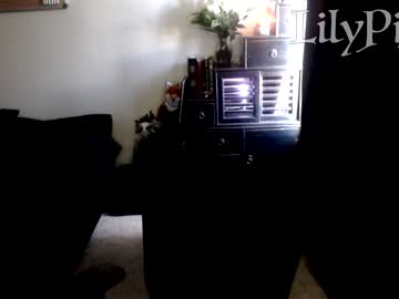 webcam girl lilypixel live cam image #1546685