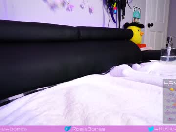 webcam girl rosiebones live cam image #4870083
