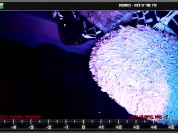 webcam girl those_darn_frigs live cam image #206545
