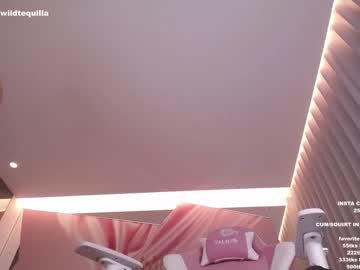 webcam girl wildtequilla live cam image #3276576