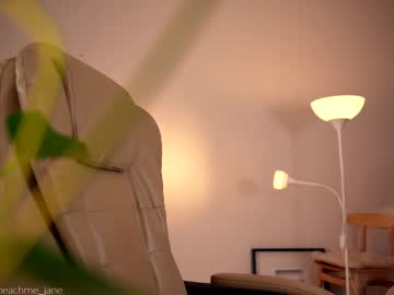 webcam girl peach_me live cam image #1059205