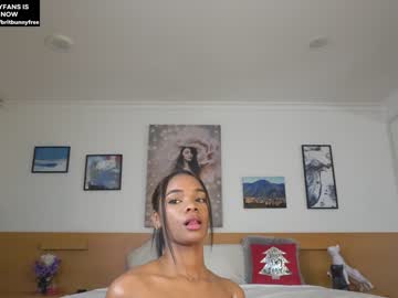 webcam girl camilitasu live cam image #5740334