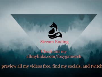 webcam girl foxy_gamer live cam image #2768473
