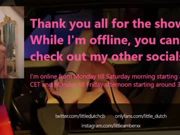 webcam girl little_dutch live cam image #3082714