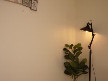 webcam girl shena_nomy live cam image #6552923