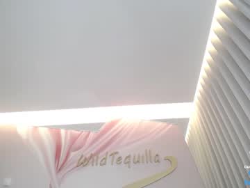 webcam girl wildtequilla live cam image #6434278