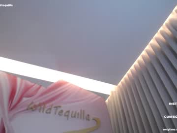 webcam girl wildtequilla live cam image #4848872