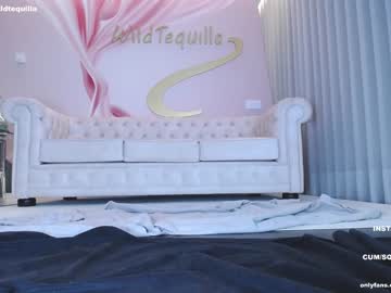 webcam girl wildtequilla live cam image #4706636