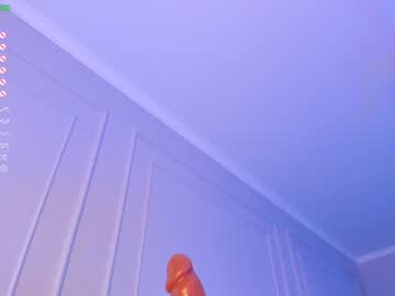 webcam girl aerri_lee live cam image #2622182