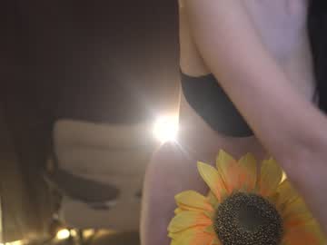 webcam girl sophia_lean live cam image #4463346