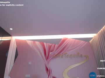 webcam girl wildtequilla live cam image #4248600