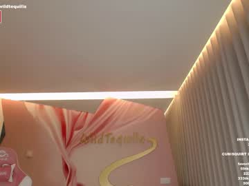 webcam girl wildtequilla live cam image #3197289
