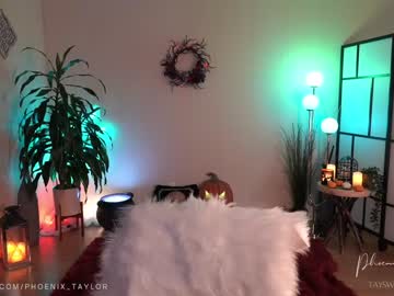 webcam girl phoenix_taylor live cam image #5509774