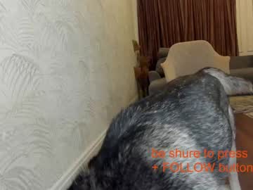 webcam girl ehotlovea live cam image #771870