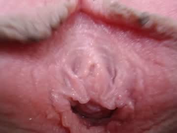 webcam girl courtney_luv live cam image #3653742