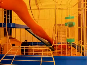webcam girl mary_marlow live cam image #3532774