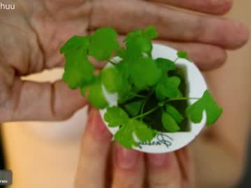 webcam girl morganxu live cam image #1022301