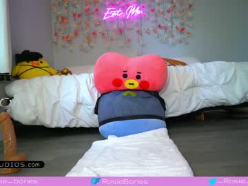 webcam girl rosiebones live cam image #2076828