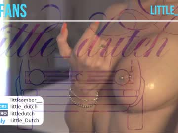 webcam girl little_dutch live cam image #3894147