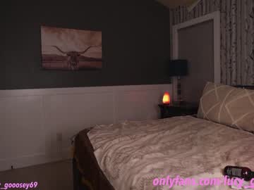 webcam girl lucy_gooosey live cam image #6322729