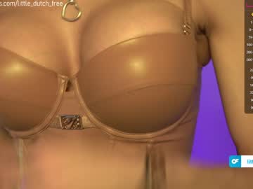 webcam girl little_dutch live cam image #4104669