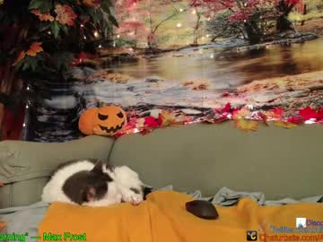 webcam girl aliceriverscam live cam image #2858353