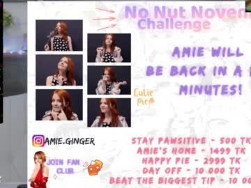 webcam girl ginger_pie live cam image #503793