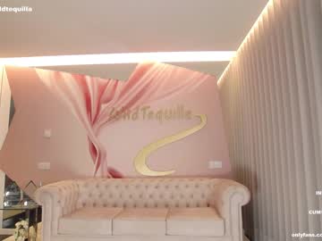 webcam girl wildtequilla live cam image #4550037