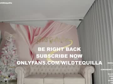 webcam girl wildtequilla live cam image #3354284