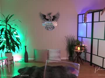 webcam girl phoenix_taylor live cam image #5431182