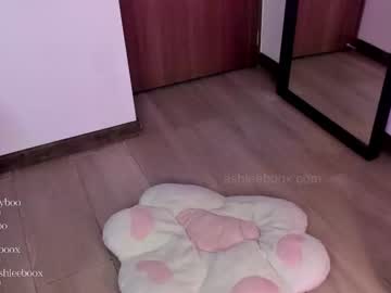 webcam girl ashleycat9 live cam image #6091902