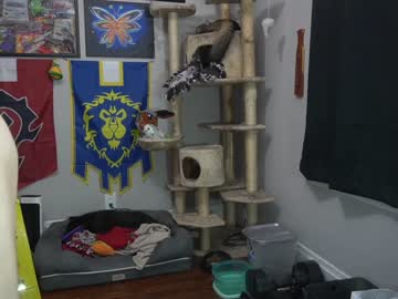 webcam man sydaffect live cam image #1943133